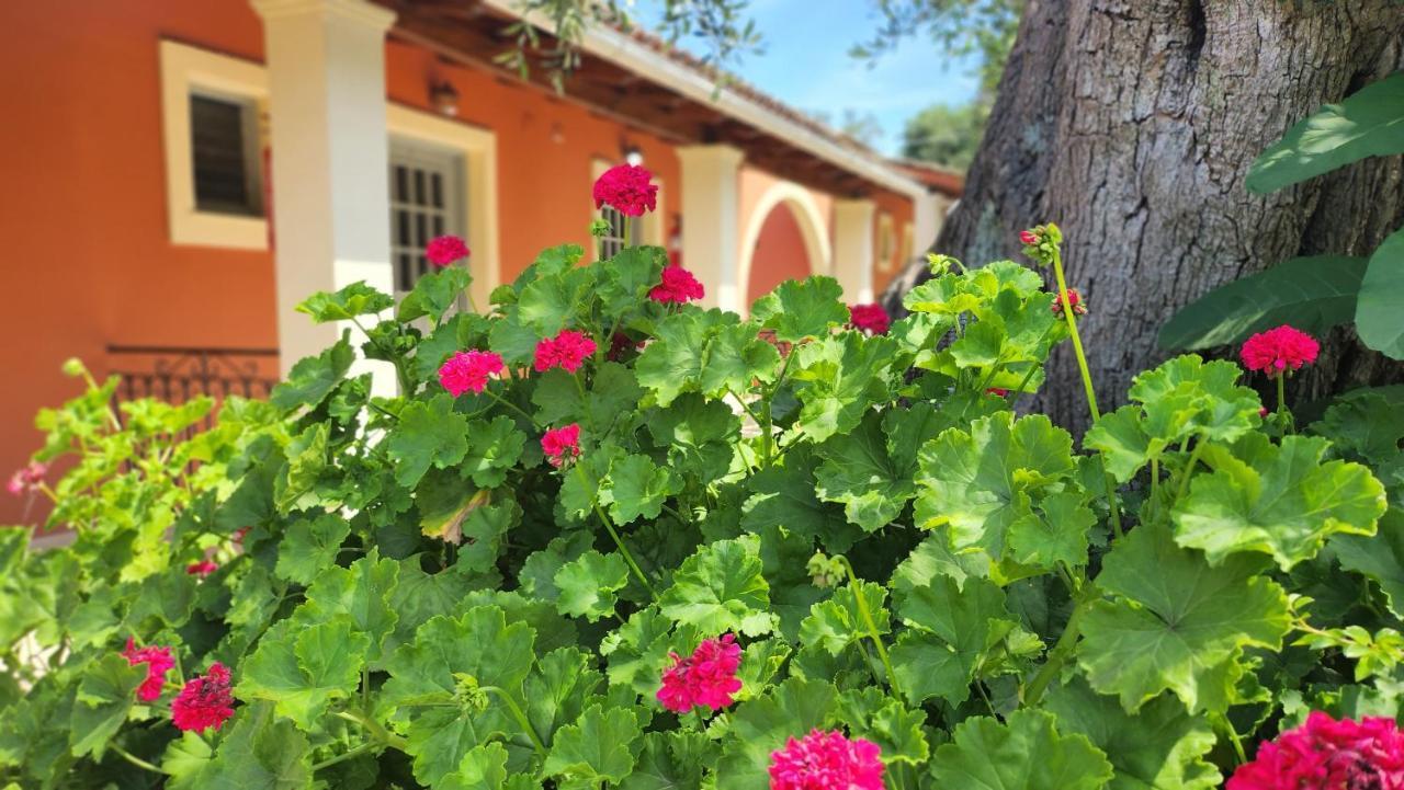 Aristea Studios Kato Korakiana Exterior photo